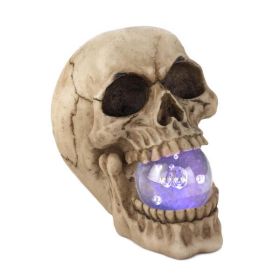 Dragon Crest Skull with Light-Up Orb