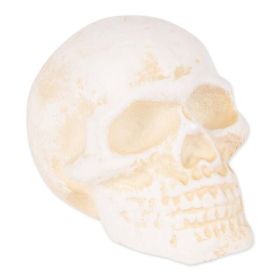 Accent Plus Small Cast Iron Skull Figurine or Paperweight